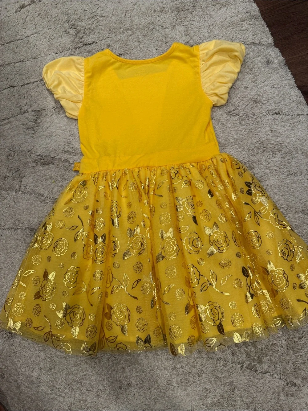Disney princess Belle Dress